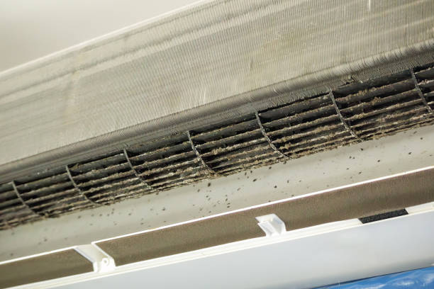 Best Air Vent Cleaning Services  in Odenton, MD